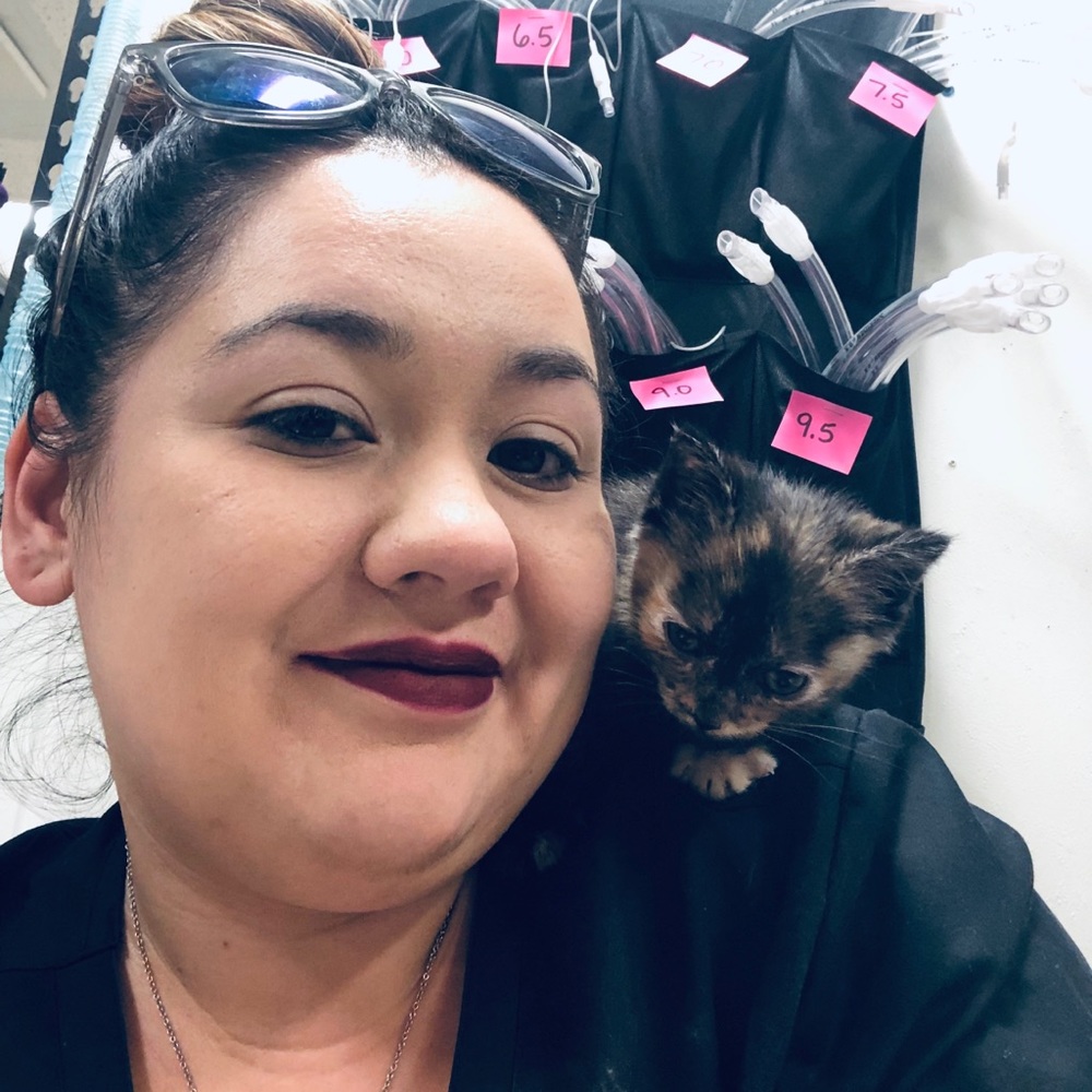 Meet your Posher, Brittany